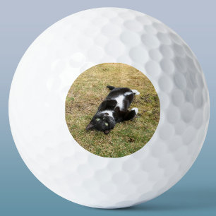 Custom Pet Photo Personalized Modern Golf Balls