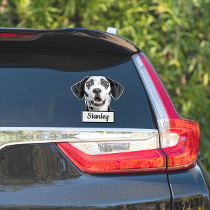 Custom Pet Photo   Personalized name