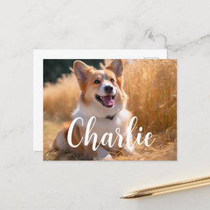 Custom Pet Photo Postcard