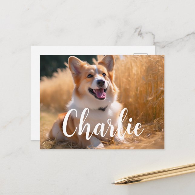 Custom Pet Photo Postcard (Front/Back In Situ)