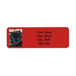 Custom Pet Photo Return Address Label