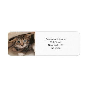 Custom Pet Photo  Return Address Label