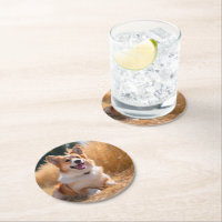 Custom Pet Photo