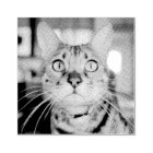 Custom Pet Photo Rubber Stamp