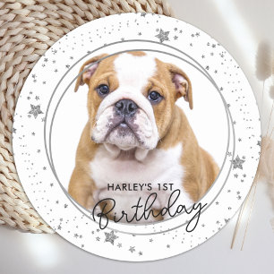 Custom Pet Photo Silver Glitter Stars Dog Birthday Classic Round Sticker
