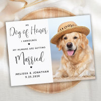 Custom Pet Photo Simple QR Code Dog Wedding I
