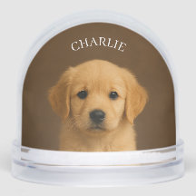 Custom pet photo Snow Globe