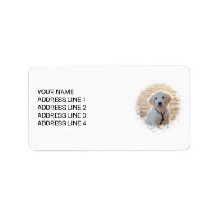 Custom Pet Photo Template With Personalised Text Label