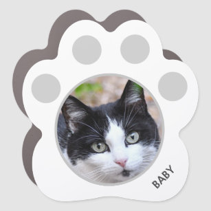 Custom Pet Photo, Tuxedo Cat Car Magnet