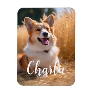 Custom Pet Photo with Name Magnet