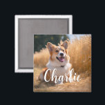 Custom Pet Photo with Name Magnet<br><div class="desc">Turn your favourite photo into a unique, personalised gift! Use a family picture, a cute pet photo, or any image you love to create something special. Perfect for holidays or any occasion, these gifts are sure to make your loved ones smile. Note: The photo shown is just an example. Please...</div>