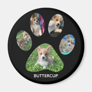 Custom Pet Photograph Paw Print Tribute Magnet