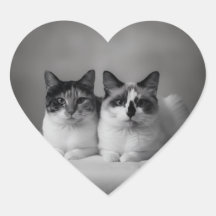 Custom Pet Portrait Heart Sticker