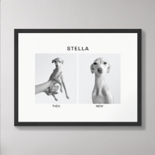 Custom Pet Portrait Then and Now Poster