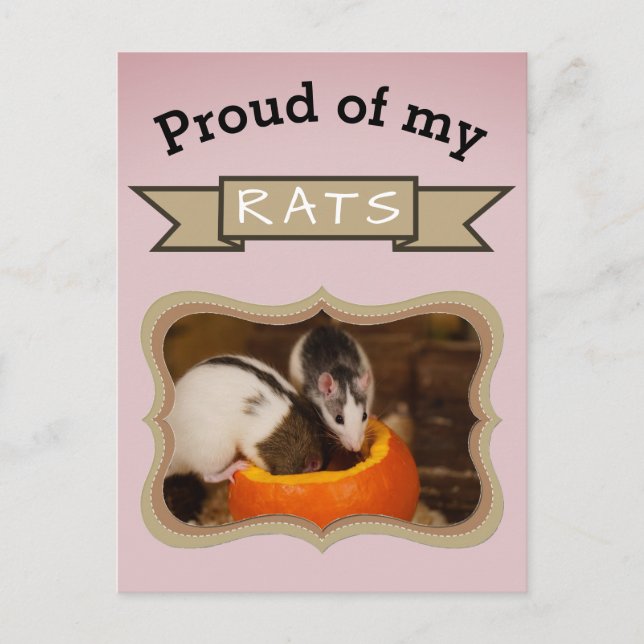 Custom Pet Rat Photo Postcard (Front)