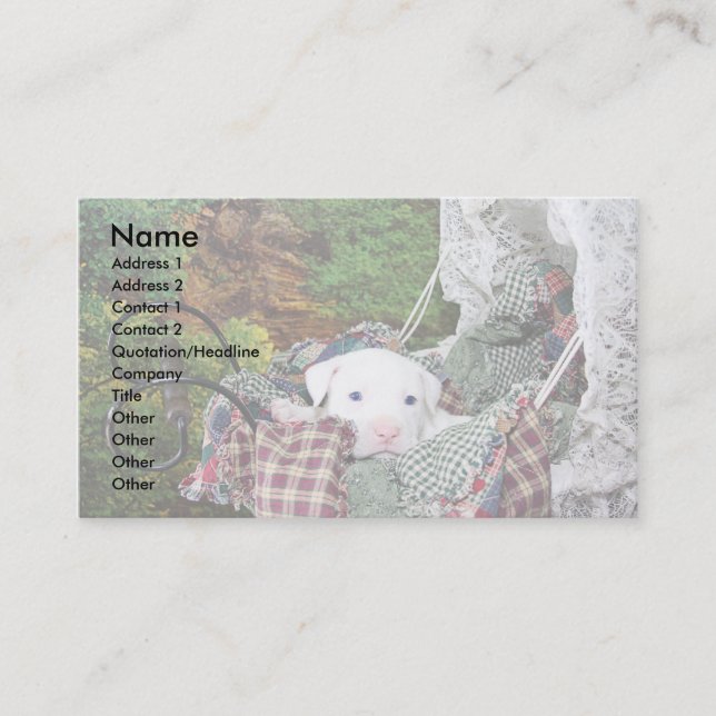 Custom Pet Sitting Service Business Card (Front)