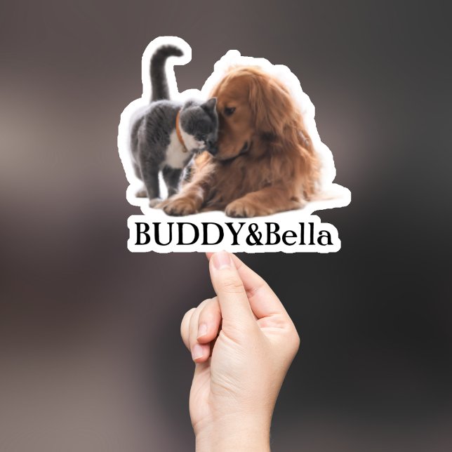Custom Pet Sticker, Custom Dog Sticker, Custom Cat (Creator Uploaded)