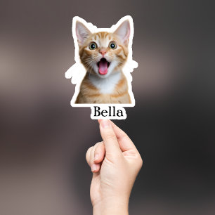 Custom Pet Sticker, Custom Dog Sticker, Custom Cat