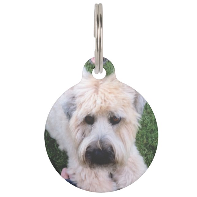 custom pet tag 2020 (Front)