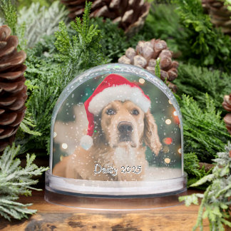 Custom Photo and Name Double Sided Pet  Snowglobe