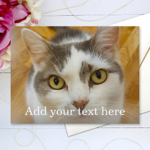 Custom Photo and Name Personalised Postcard