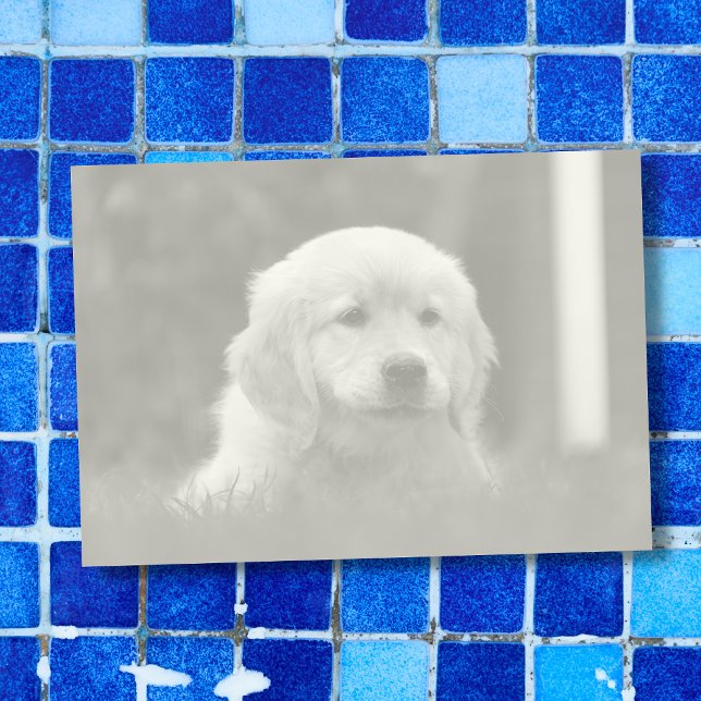 Custom Photo, Auto Convert Pic to Light Tone B & W Post-it Notes (Creator Uploaded)