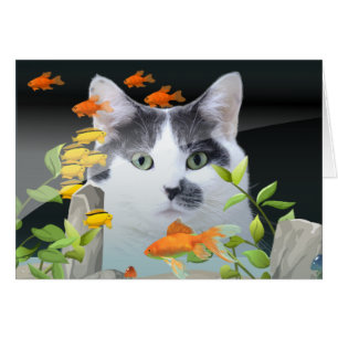 Custom Photo Cat Peering in Fish Tank