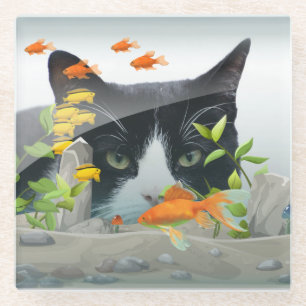 Custom Photo Cat Peering in Fish Tank Fun Glass Coaster