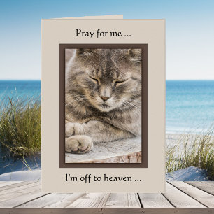 Custom Photo Cat Sympathy Card