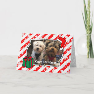 Custom Photo Christmas Santa Hat Pet HO HO HO Card