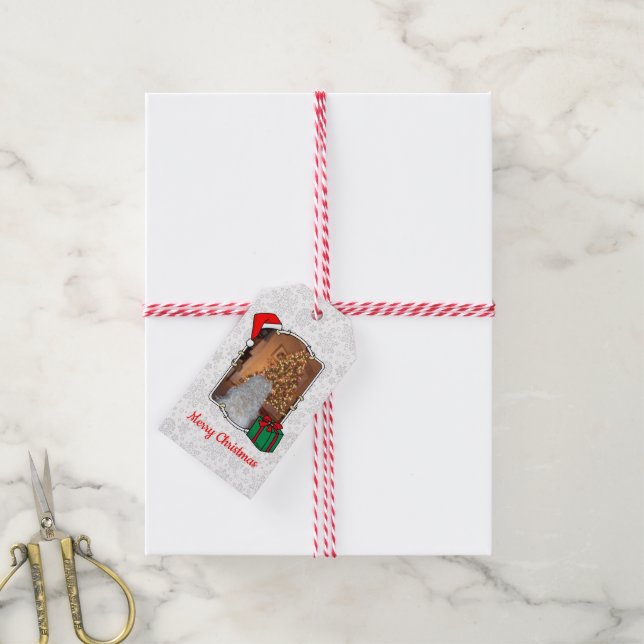 Custom Photo Christmas Santa Hat Pet HO HO HO Gift Tags (With Twine)
