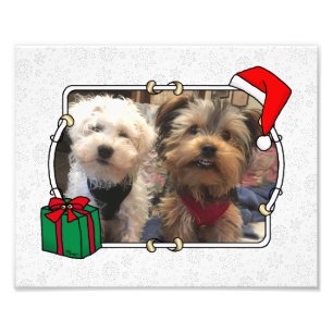 Custom Photo Christmas Santa Hat Pet HO HO HO Print
