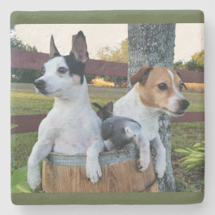 Custom Photo Coaster
