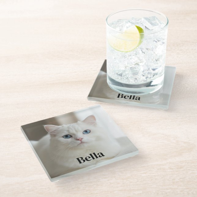 Custom photo coaster with snow white cat (Angled)