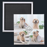 Custom Photo Collage Monogram Name Dog Magnet<br><div class="desc">Celebrate your best friend with a custom Monogram Pet Photo Collage magnet . When you have so many fun memories and photos , one photo isn't enough . Our Dog Photo magnet has four photos. Whether you have a new puppy , or to memorialise all the special moments thru each...</div>