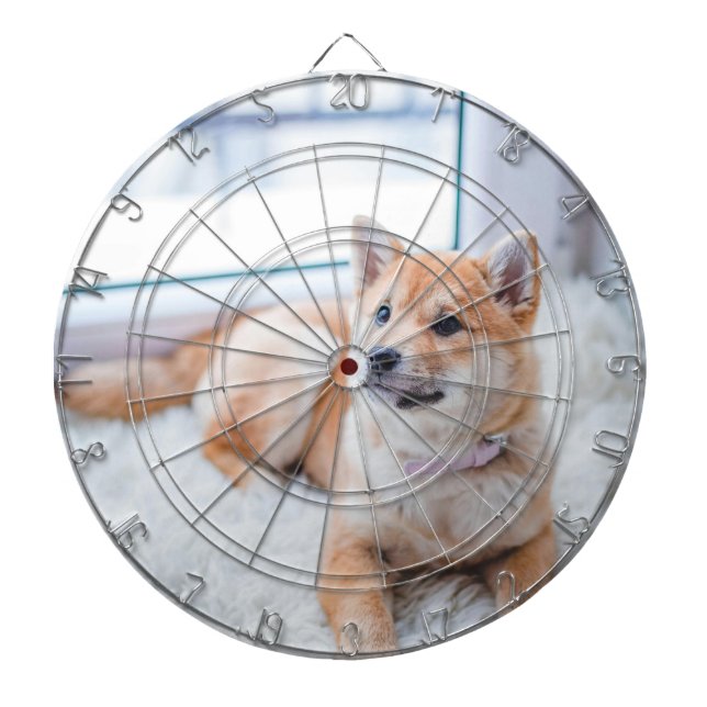 Custom Photo Dartboard (Front)