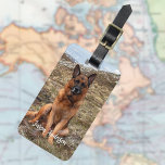 Custom photo dog pet luggage tag<br><div class="desc">Add one of your own favourite photos.  Personalise and add your name and contact information. 
Back: black background,  white text.</div>
