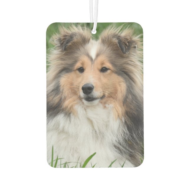 Custom Photo Dog Pet Memorial Photo Car Air Freshener (Back)
