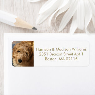 Custom photo image gold modern Return Address Label