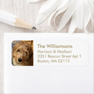 Custom photo image gold white Return Address Label