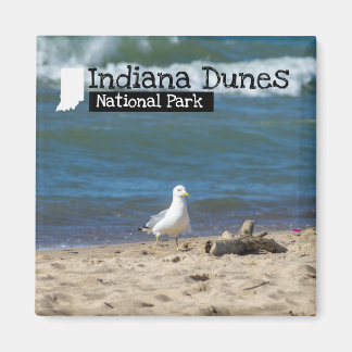 Custom Photo - Indiana Dunes National Park Magnet