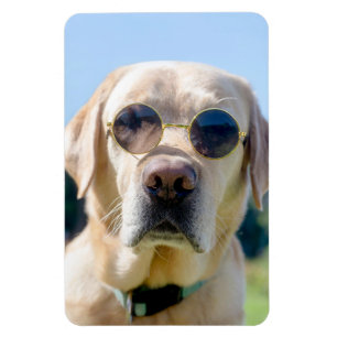 Custom Photo Magnet