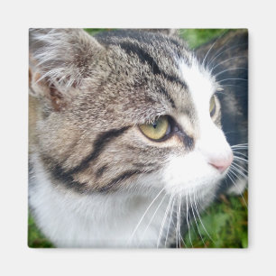 Custom photo magnet for fridge Your image here