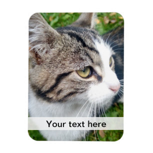 Custom photo magnet   Upload your image here