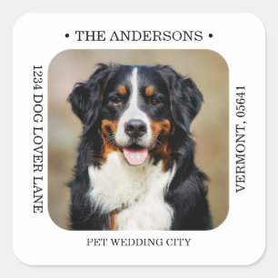 Custom Photo Modern Wedding Return Address  Square Sticker