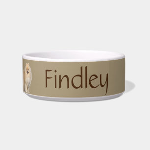 Custom Photo & Name Dog Pet Bowl