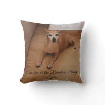 Custom Photo & Name Pet Memorial 