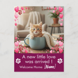 Custom Photo New Kitten Announcement Postcard 