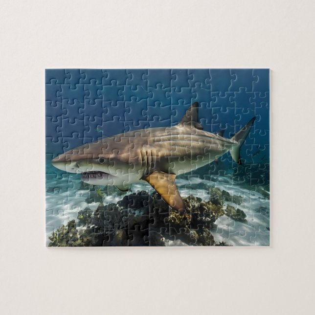 Custom Photo Personalised blue white shark fish    Jigsaw Puzzle (Horizontal)