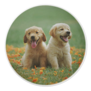 Custom Photo Personalised Ceramic Knob